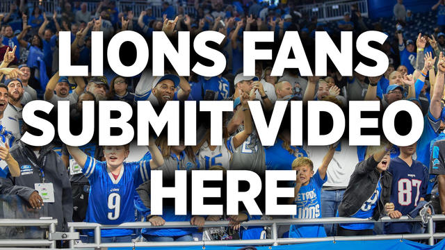 LionsFanVideo_WEB.jpg 