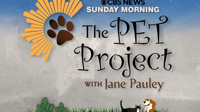 pet-project-logo-640.jpg 