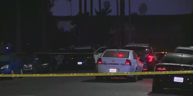 Driver Shot To Death In South LA, Gunman At Large 