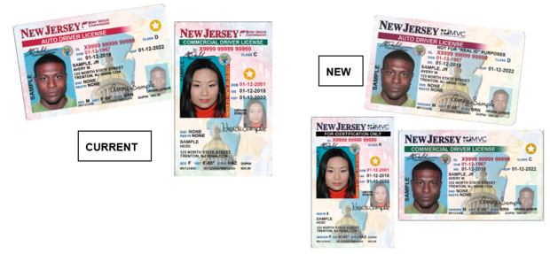 NJMVC Licenses 