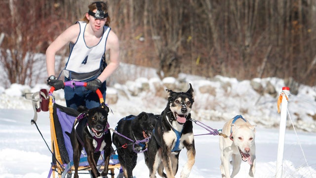 Maine-Dog-Sled-Race.jpg 