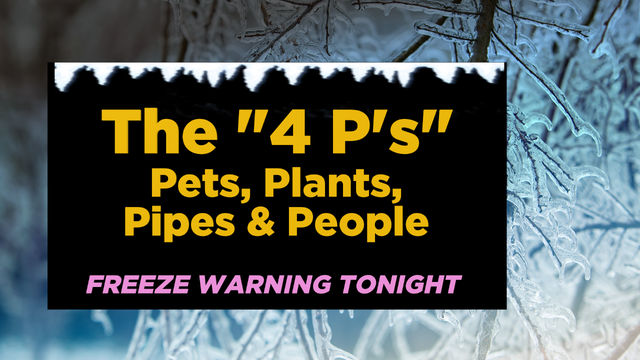 thumbnail_FREEZE STATS 