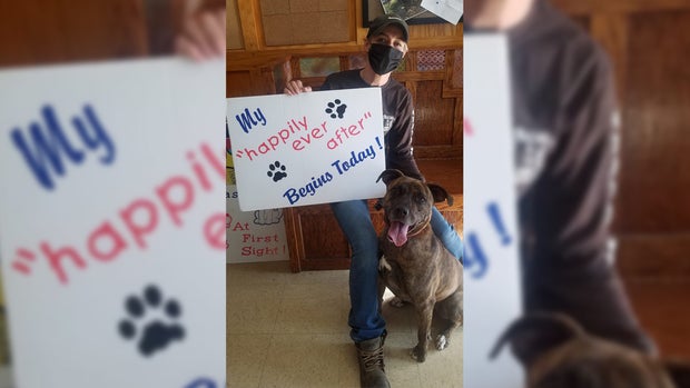 Ashtabula County Animal Protective League copy 