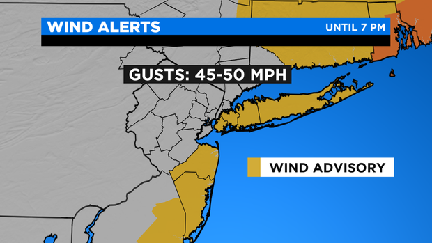 SkyCast Wind Alerts 