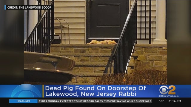 lakewood-pig-carcass-on-rabbi-doorstep.jpg 
