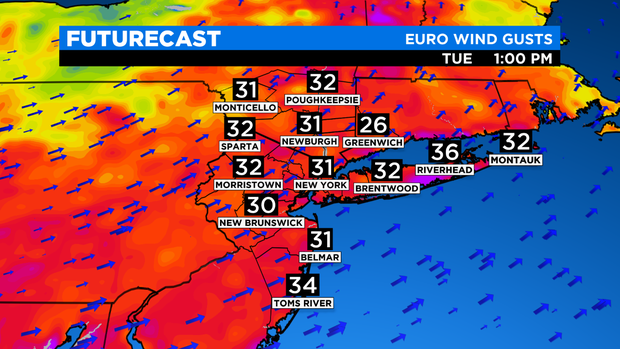SkyCast FutureCast Wind Gusts EURO