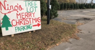 Longtime Christmas Tree Salesman Says Trees In High Demand During