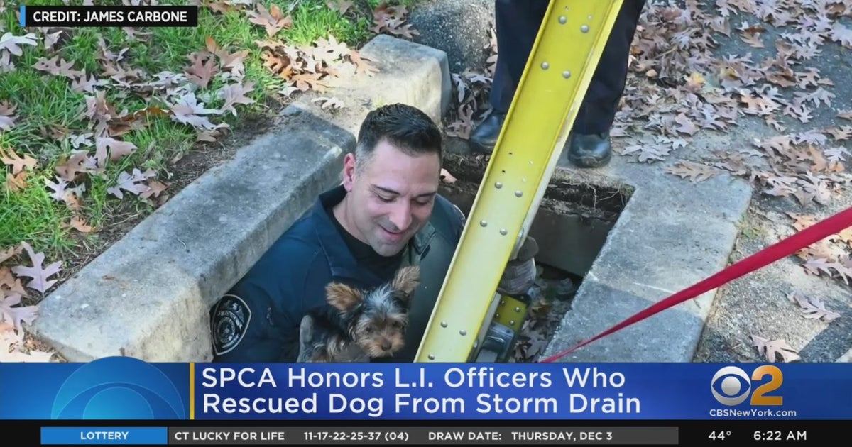 SPCA Honors Long Island Officers Who Rescued Dog From Storm Drain - CBS ...