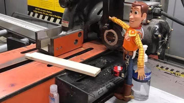 another-woody-picture.jpg 