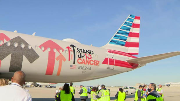 Stand Up To Cancer American Airlines Plane 