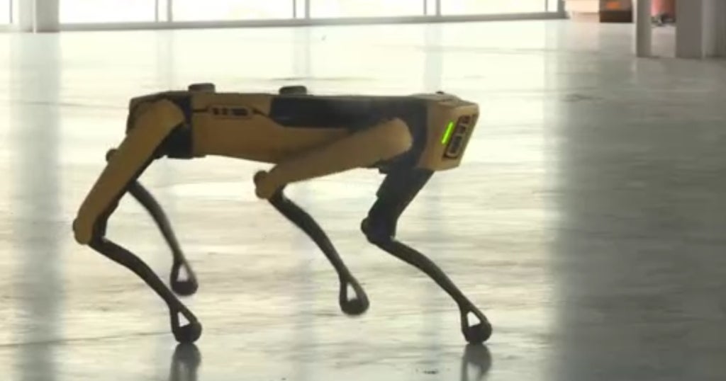 Here Spot! University Tests Robotic 'Smart' Dogs For 'Myriad' Of ...