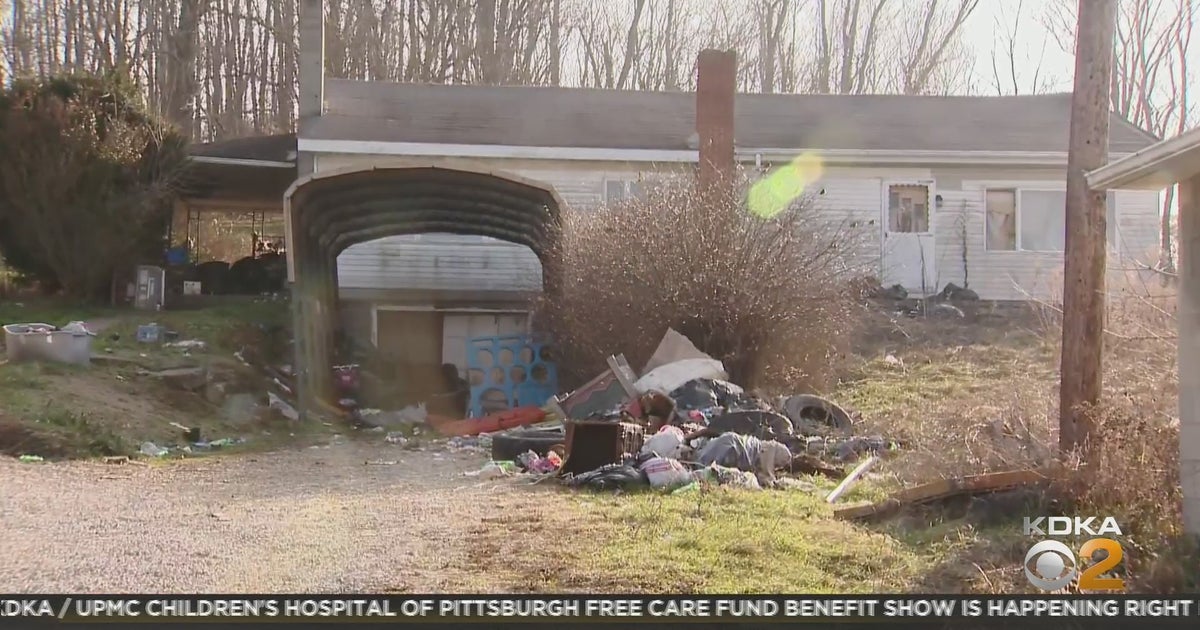 Westmoreland Co. Man Charged After 3 Dead Dogs Found In Home After ...