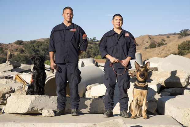 LA County Fire rescue dogs 