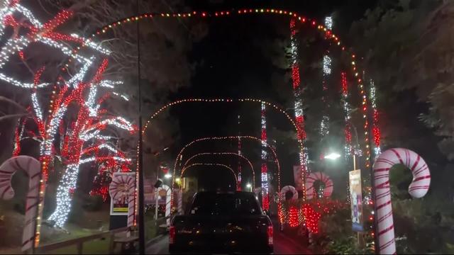 drive-thru-holiday-lights-at-6-flags.jpg 