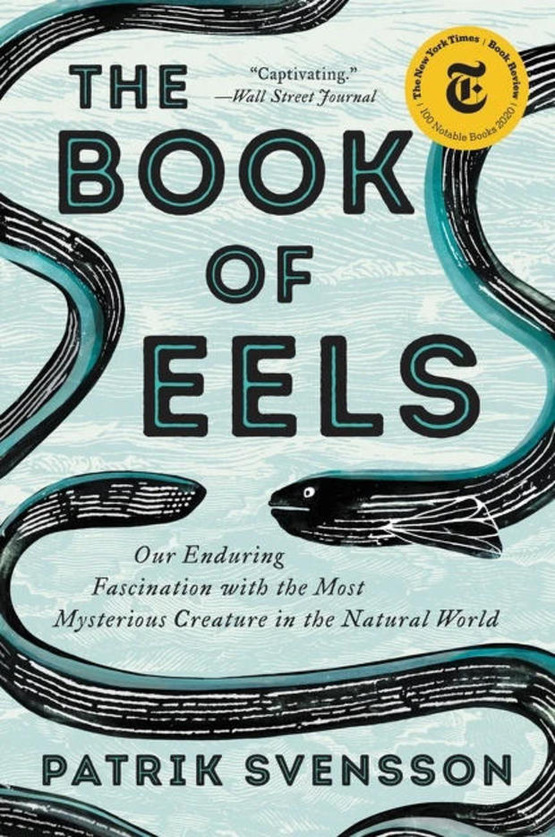 book-of-eels-cover-ecco.jpg 