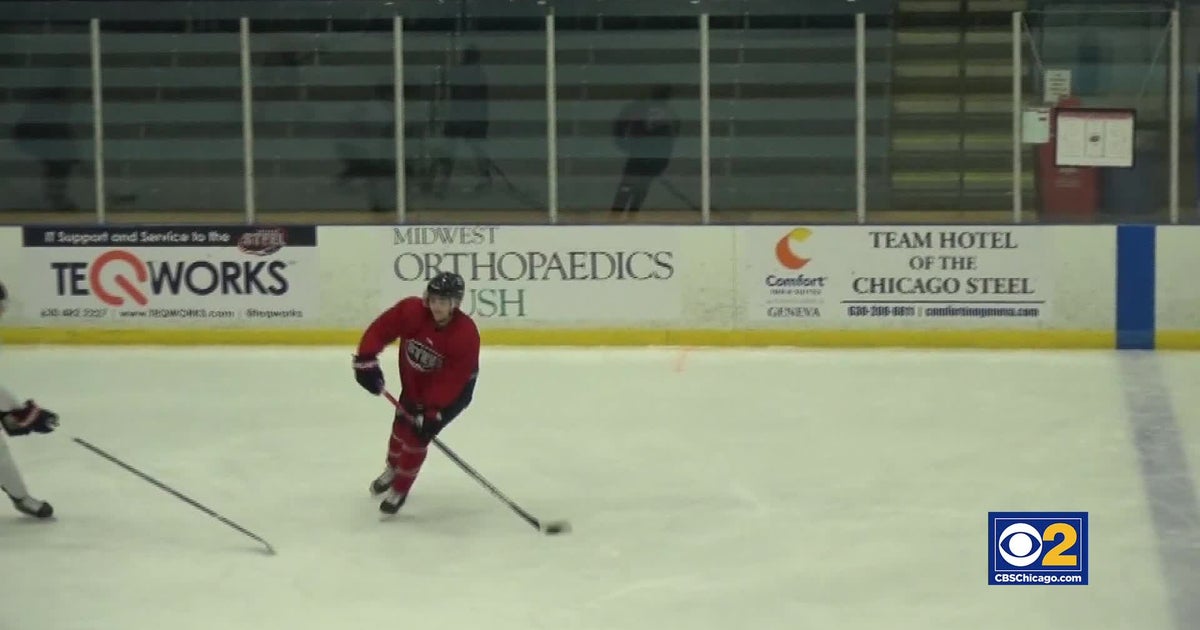 Hockey And Harvard: Chicago Steel Player Studying Online While Playing ...