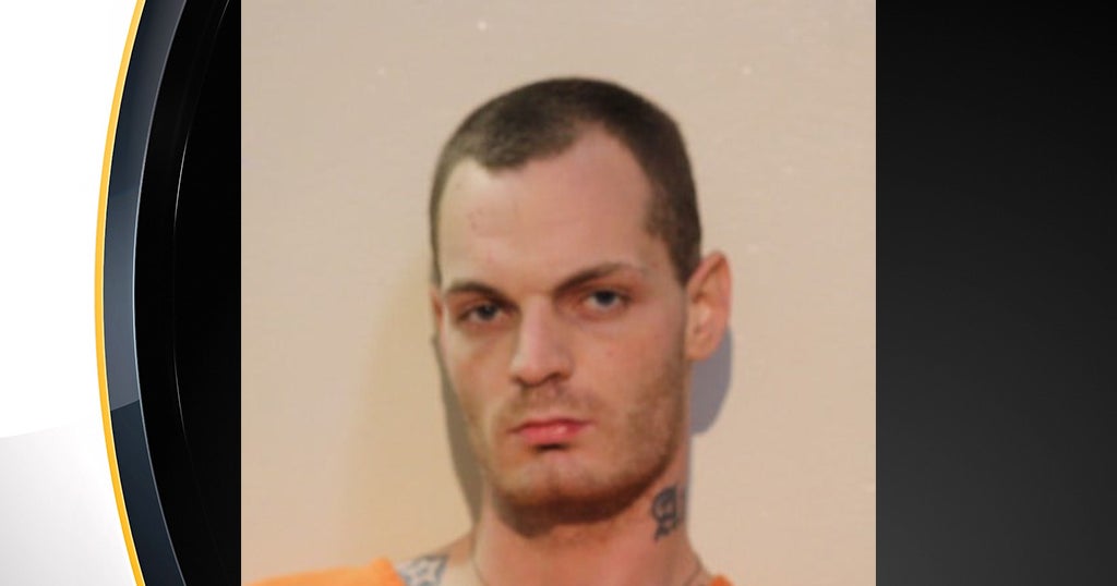 29-Year-Old Dylan Lesnik Pleads Guilty To Murder, Attempted
