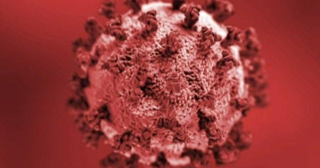 New mutation of coronavirus raises concerns in the U.S. - CBS News