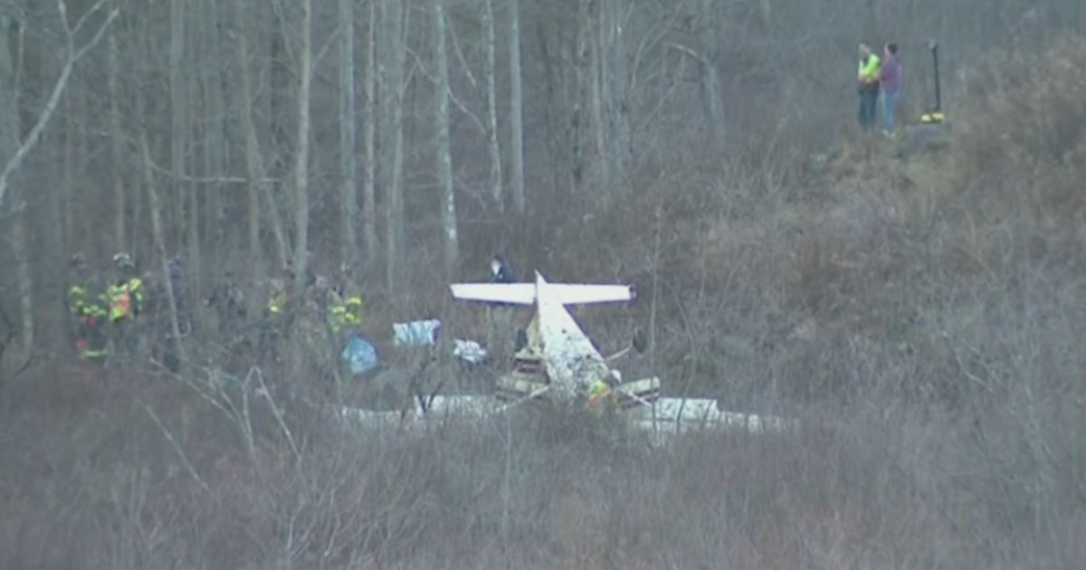 Teenage Pilot Survives Plane Crash In Dutchess County - CBS New York