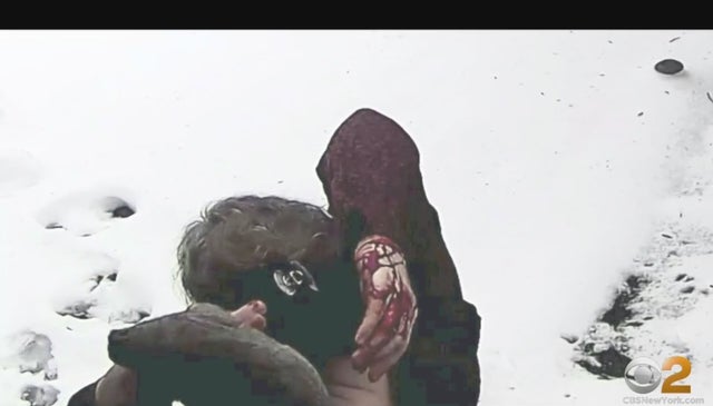 Squirrel attacks Queens 