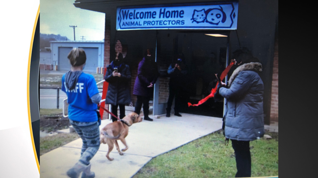 animal-protectors-ribbon-cutting.png 