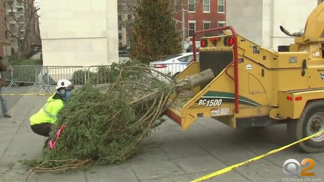 mulchfest-1.jpg 