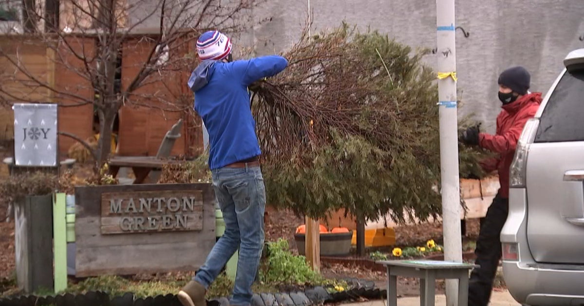 South Philly Green Uses Recycled Christmas Trees To Create Green Space