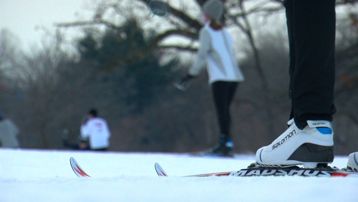 Cross Country Skiing 