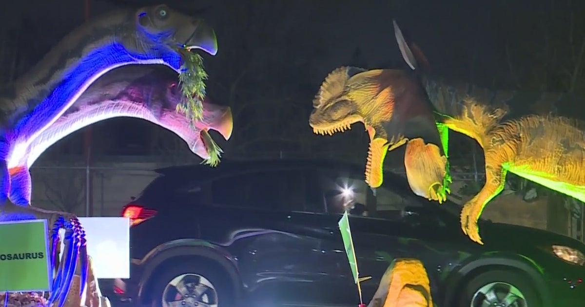 Jurassic Empire Drive-Thru Exhibit Brings Socially-Distanced Family Fun ...