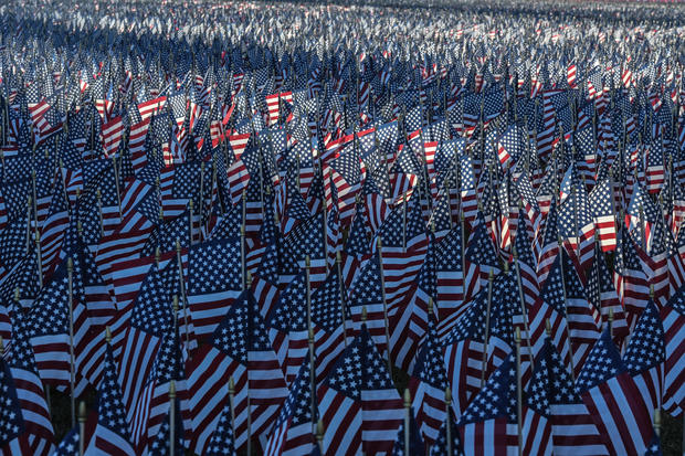 Field of flags on the National Mall 