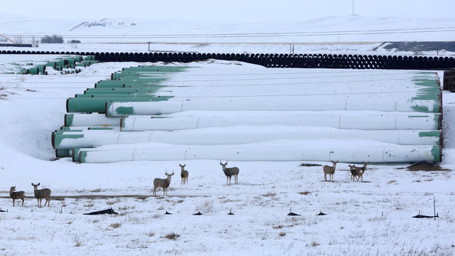 Keystone XL 