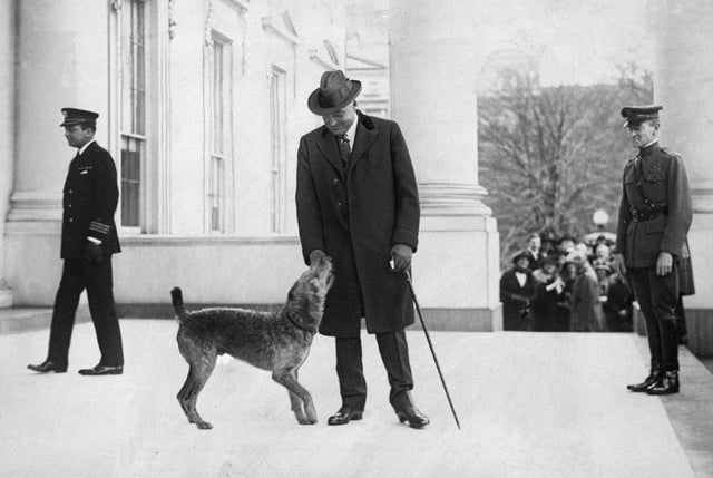 Presidential dog Laddie Boy greets President Warren G. Hardi