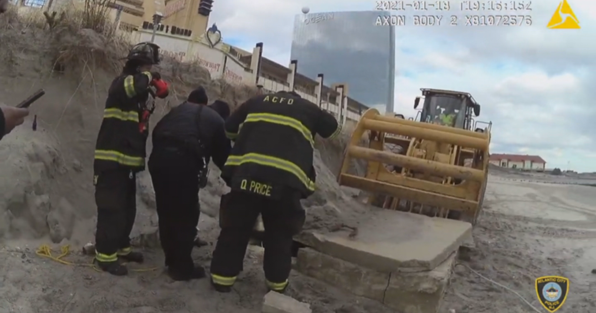 Atlantic City First Responders Rescue Dog That Fell Down 4-Foot Hole At ...