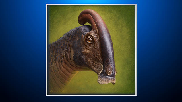 Parasaurolophus.jpg 