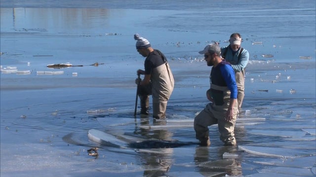 MISSING LITTLETON MAN 5PKG.transfer_frame_1794