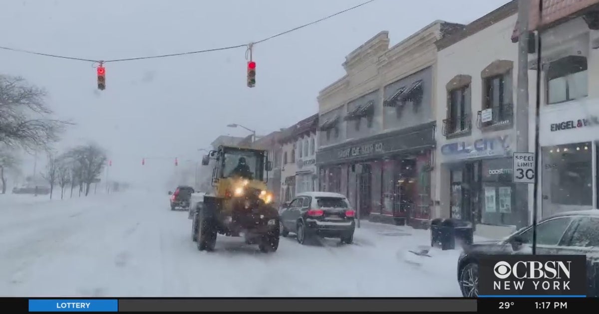 Strong Winds, Flooding Concerns On Long Island As Winter Storm Blankets ...
