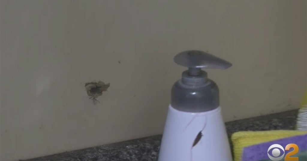 Mother Of 3 Struck By Stray Bullet Inside Bronx Apartment, 2 Teens ...