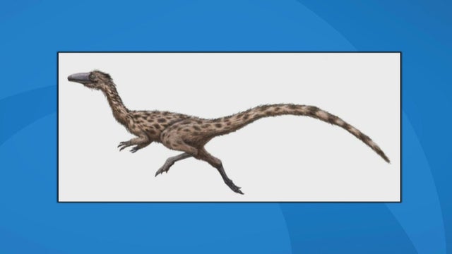 STATE-DINO.transfer_frame_0.jpg 