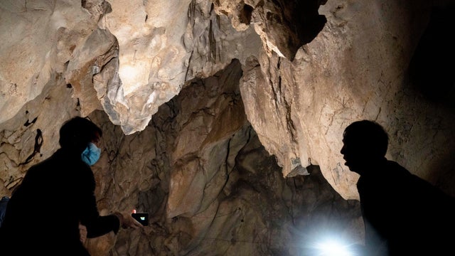 China Hunt For Virus Origins 