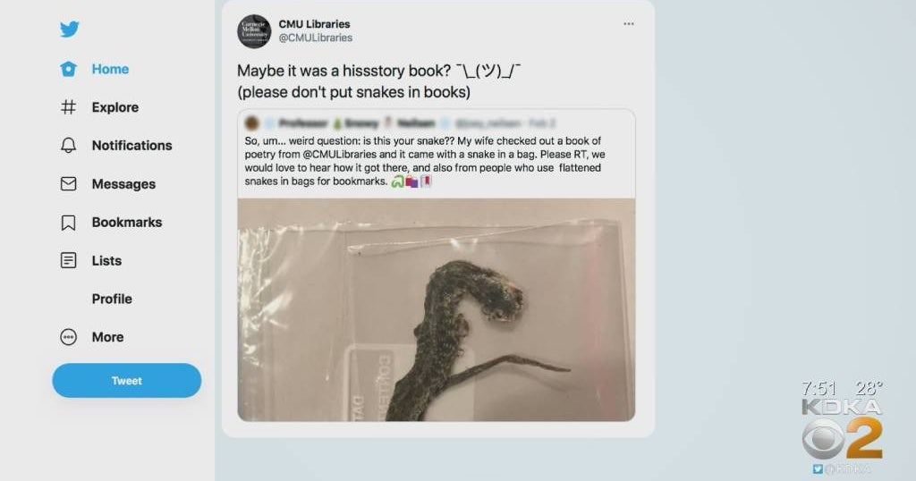 Snake In Bag Found In Poetry Book From Carnegie Mellon University