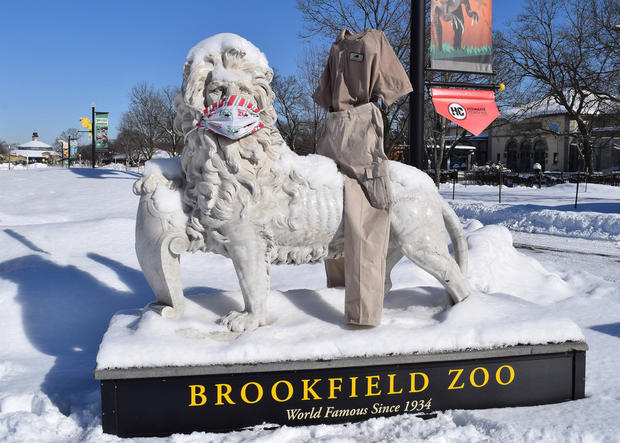 Brookfield Zoo Frozen Pants Challenge 