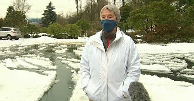 90yearold braves snow and distance for COVID19 vaccine CBS News(01)