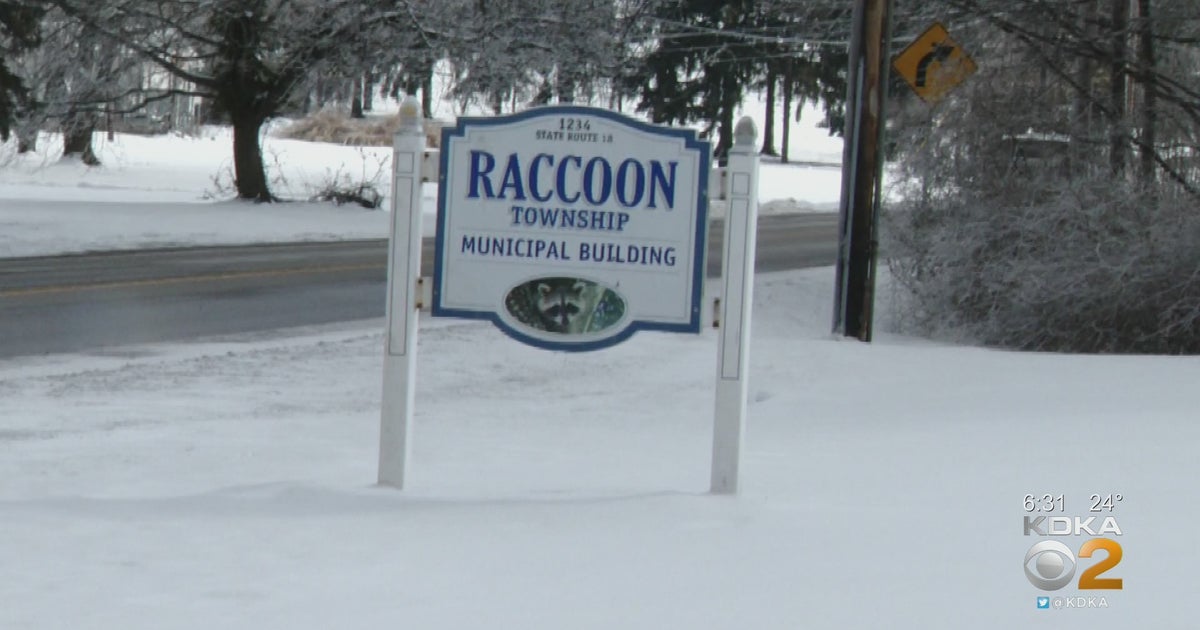 Aliquippa Man Says He Was Beaten, Terrorized And Shot At By Raccoon