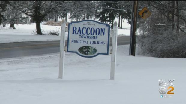 Raccoon Township 