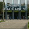 Miami Seaquarium to permanently close after 70 years in operation 
