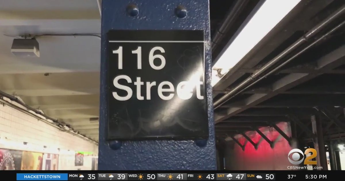 Police Searching For Woman Accused Of Punching 2-Year-Old On Subway ...