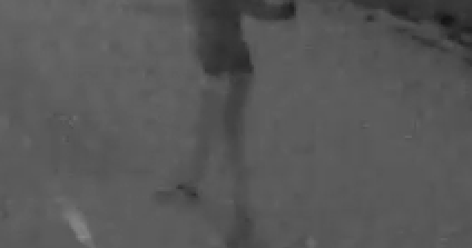 VIDEO Police Seek Suspect In Shooting On Detroit's East Side CBS Detroit