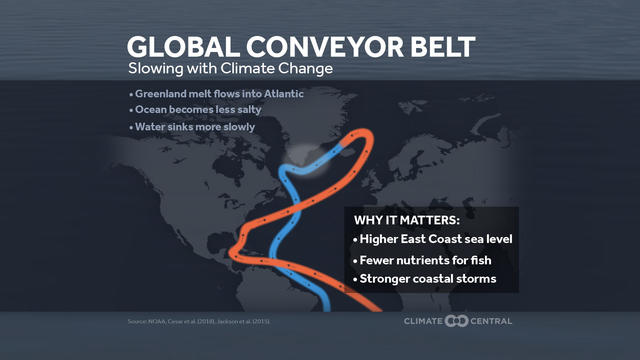 Atlantic 'conveyor belt' has slowed by 15% since mid-20th century - Carbon  Brief