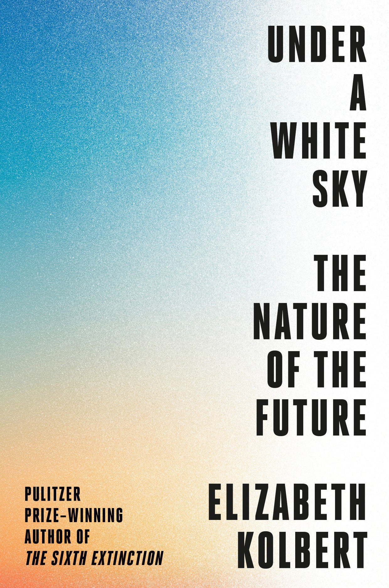 under-a-white-sky-cover-crown.jpg 