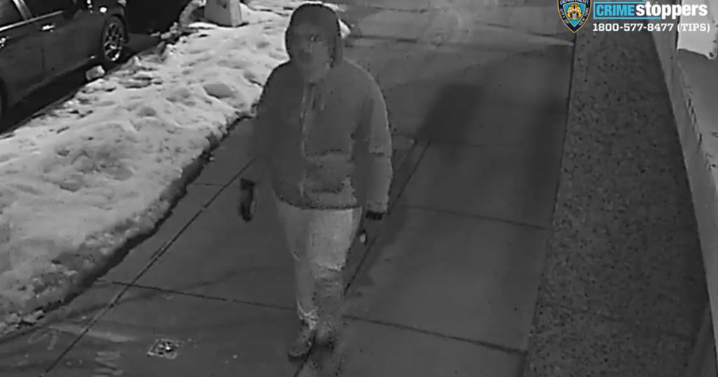 Caught On Camera Woman Punched, Kicked During Violent Queens Robbery